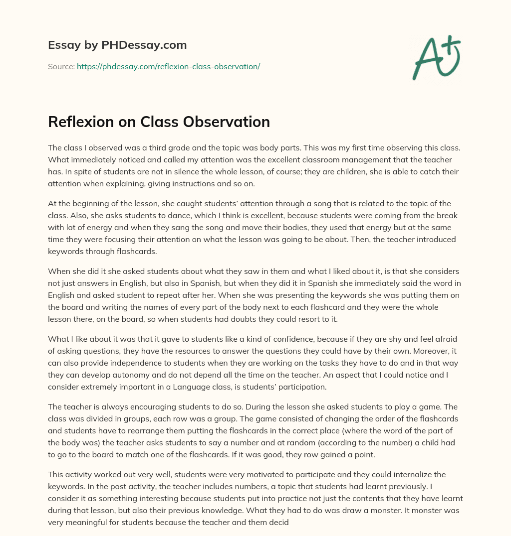 Reflexion on Class Observation essay