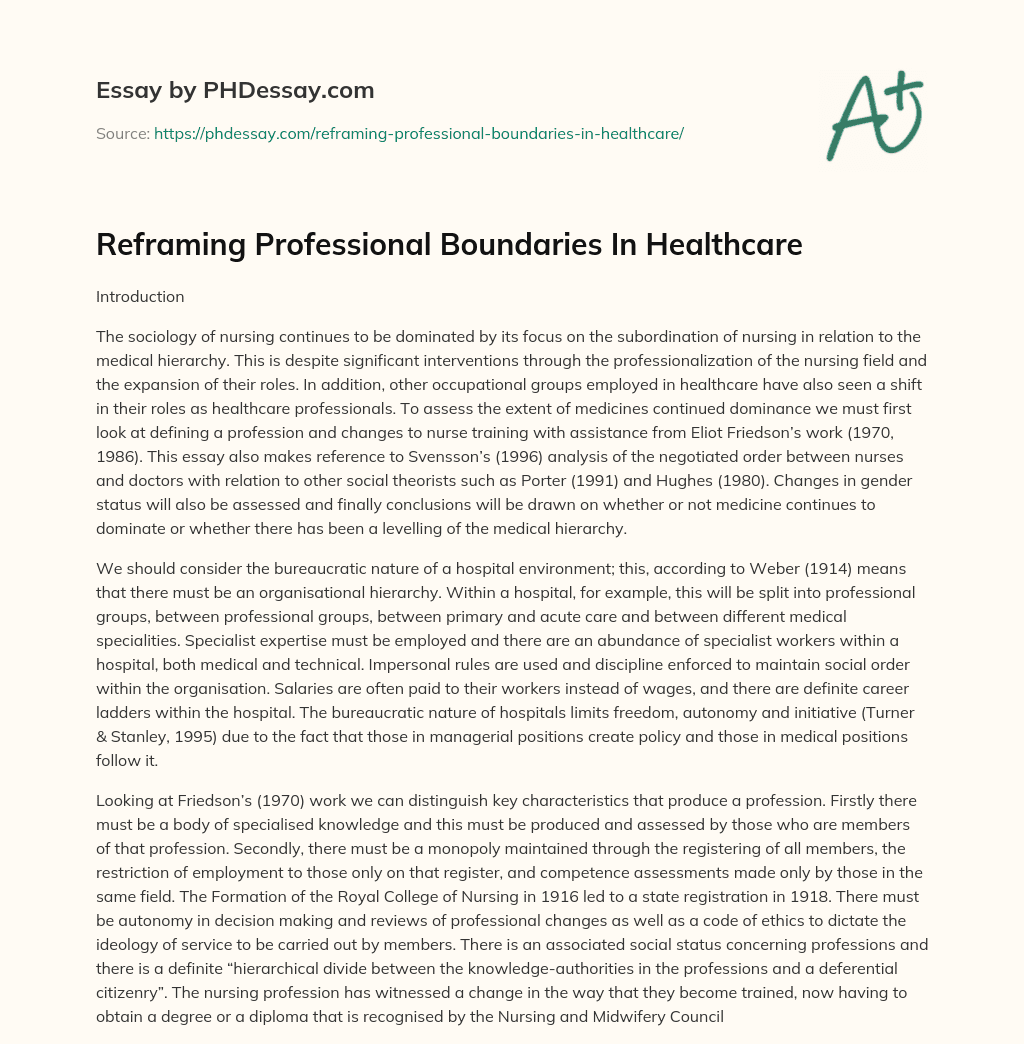 Reframing Professional Boundaries In Healthcare essay