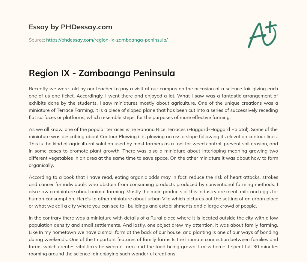 Region IX – Zamboanga Peninsula essay