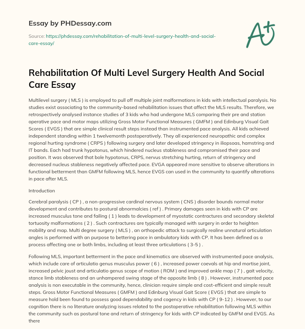 Rehabilitation Of Multi Level Surgery Health And Social Care Essay essay