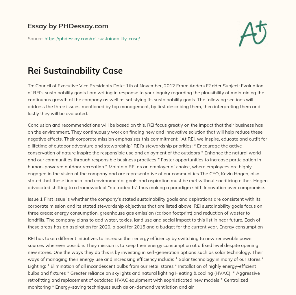 Rei Sustainability Case essay