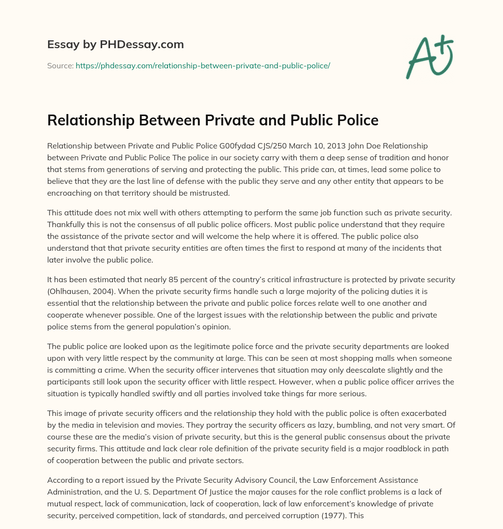 Relationship Between Private and Public Police essay