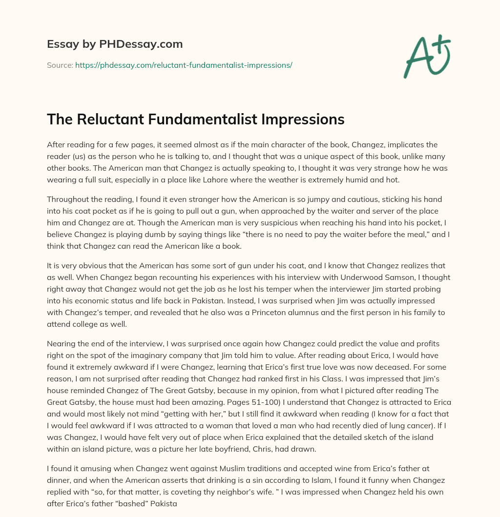 The Reluctant Fundamentalist Impressions essay