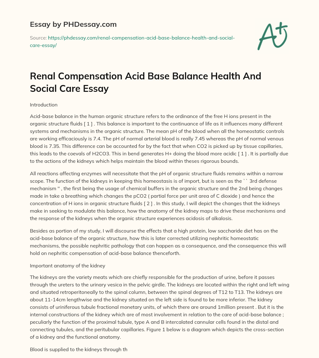 Renal Compensation Acid Base Balance Health And Social Care Essay essay