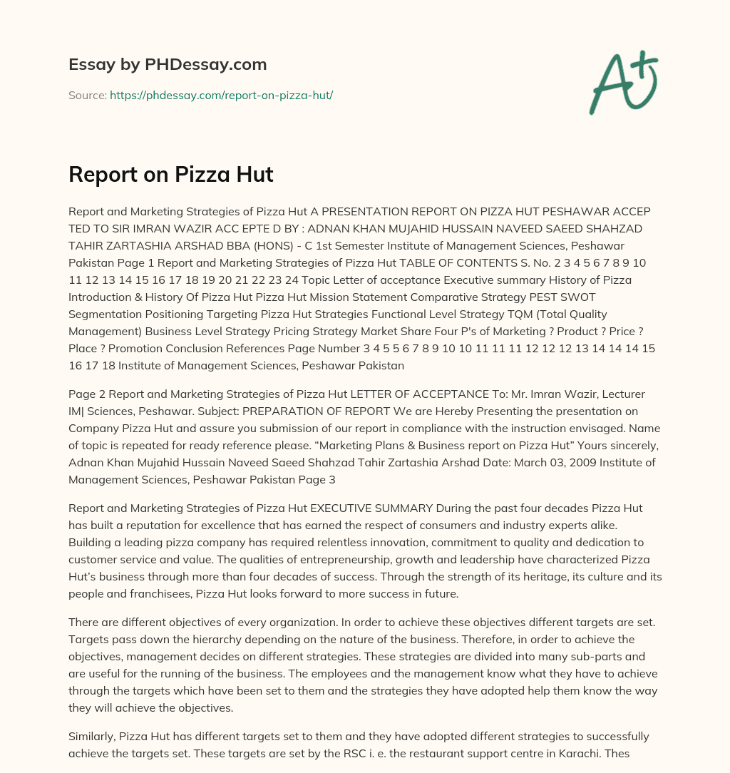 Report on Pizza Hut essay