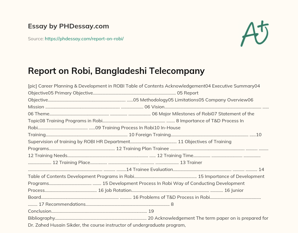 Report on Robi, Bangladeshi Telecompany essay