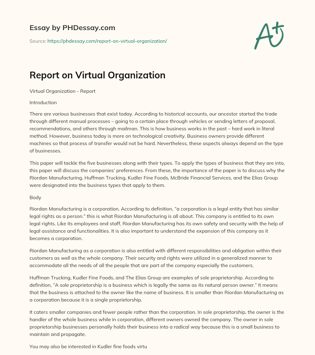 Report on Virtual Organization essay
