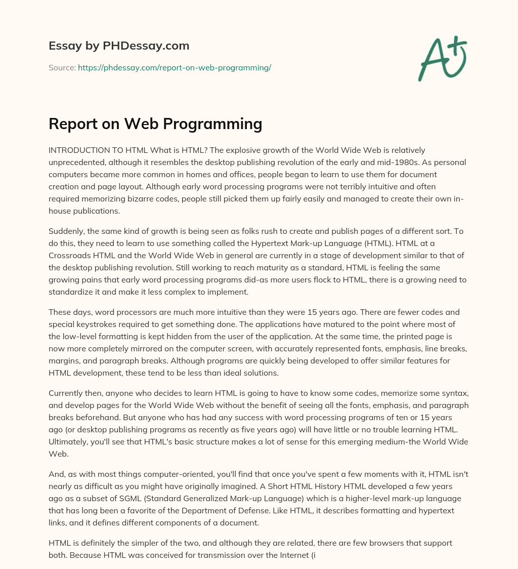 Report on Web Programming essay