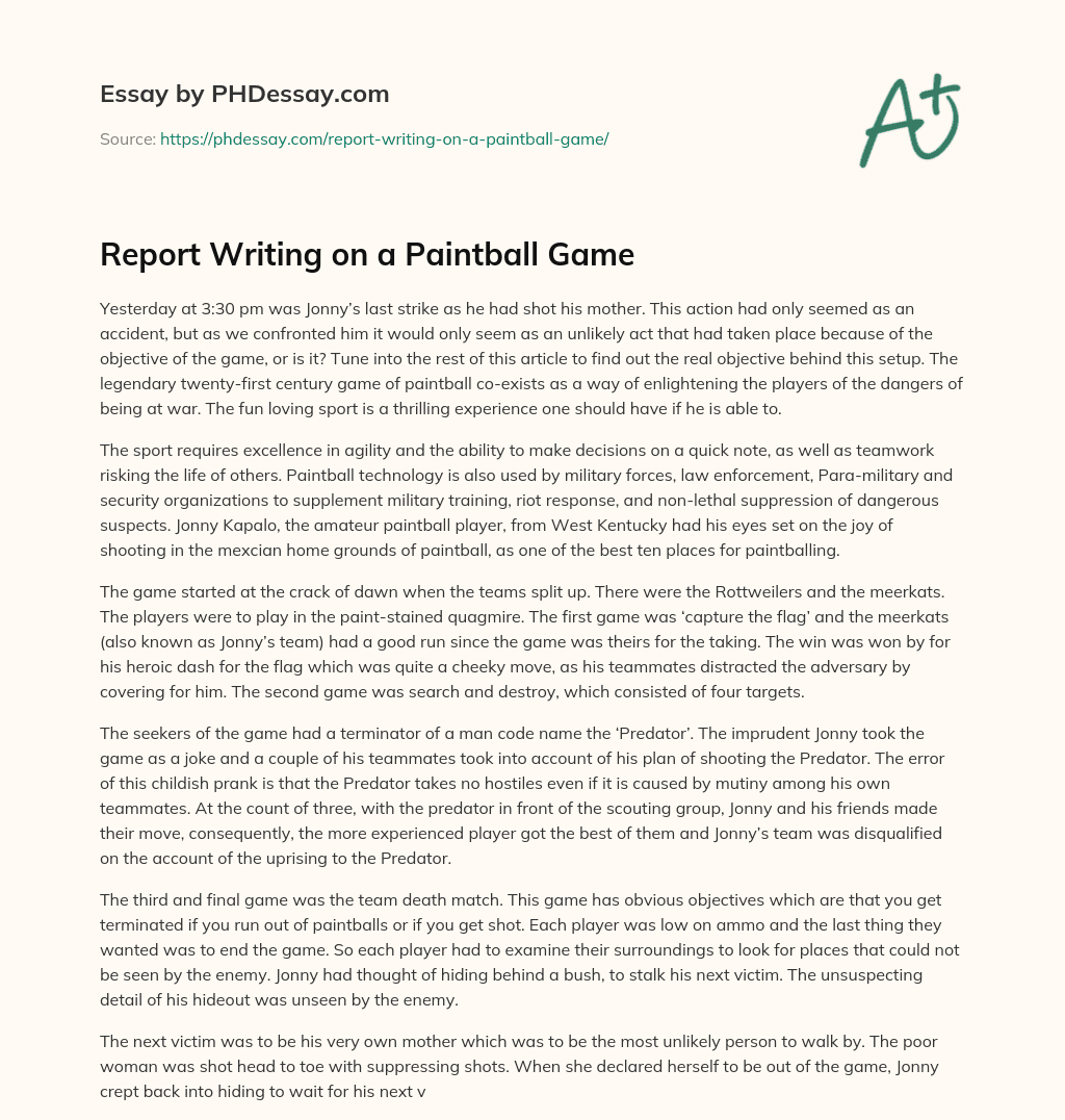 Report Writing on a Paintball Game essay