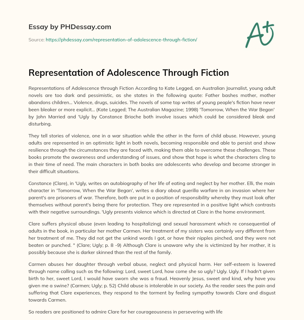 Representation of Adolescence Through Fiction essay