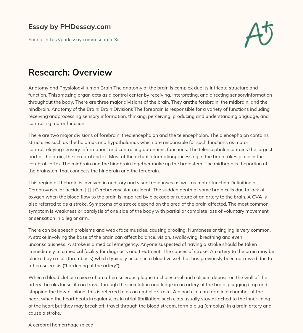 Research: Overview essay