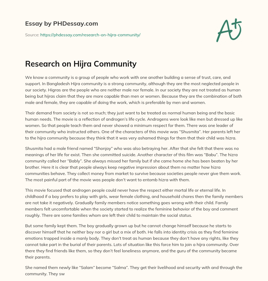 Research on Hijra Community essay