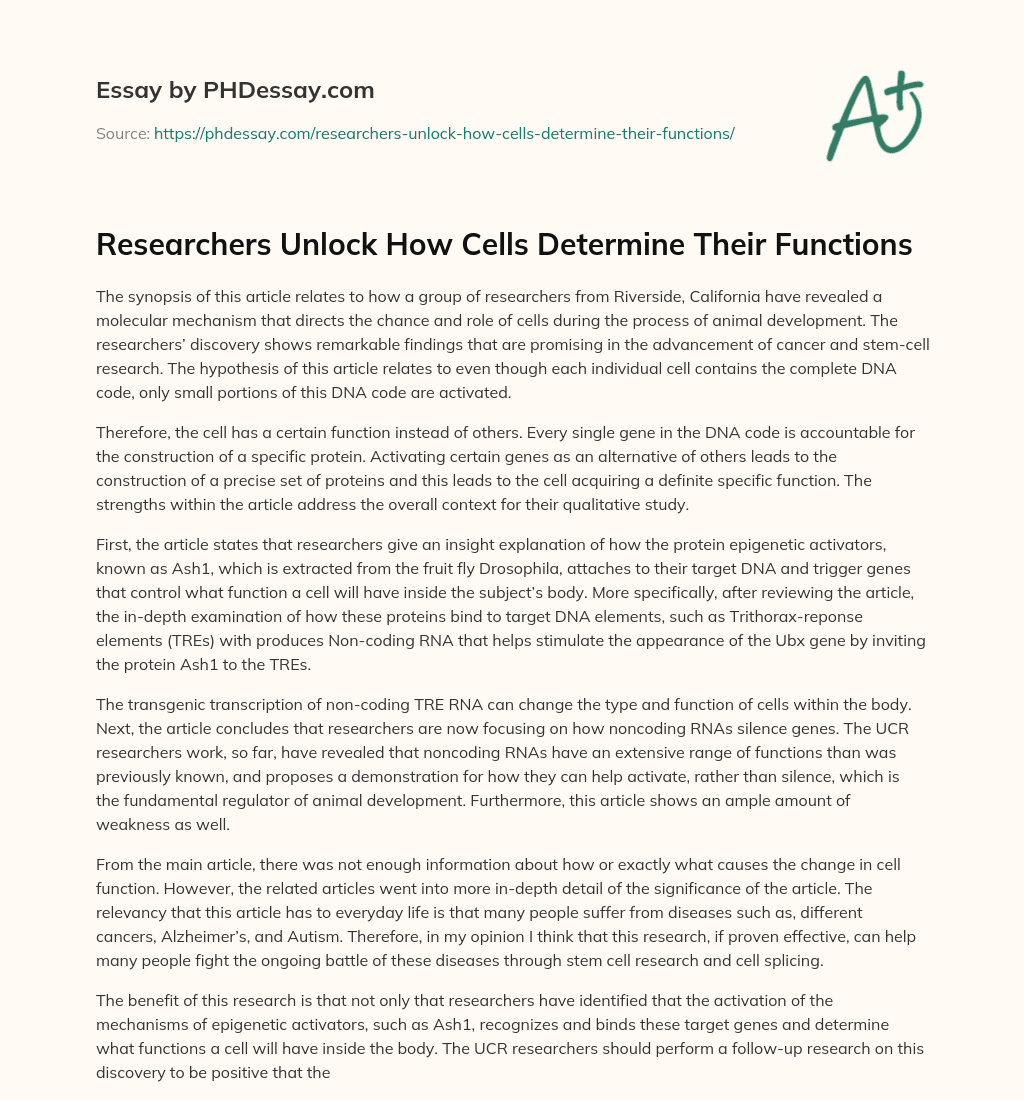 Researchers Unlock How Cells Determine Their Functions essay