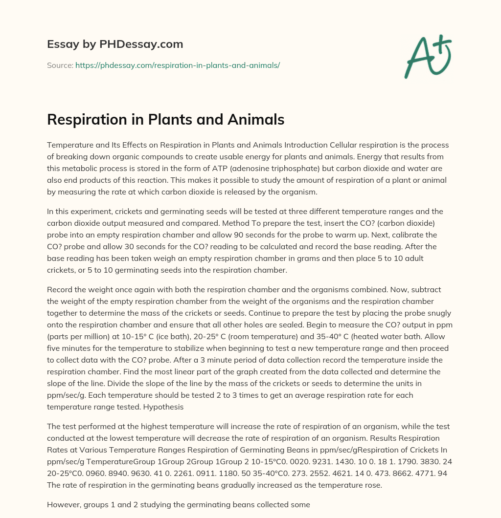 Respiration in Plants and Animals essay