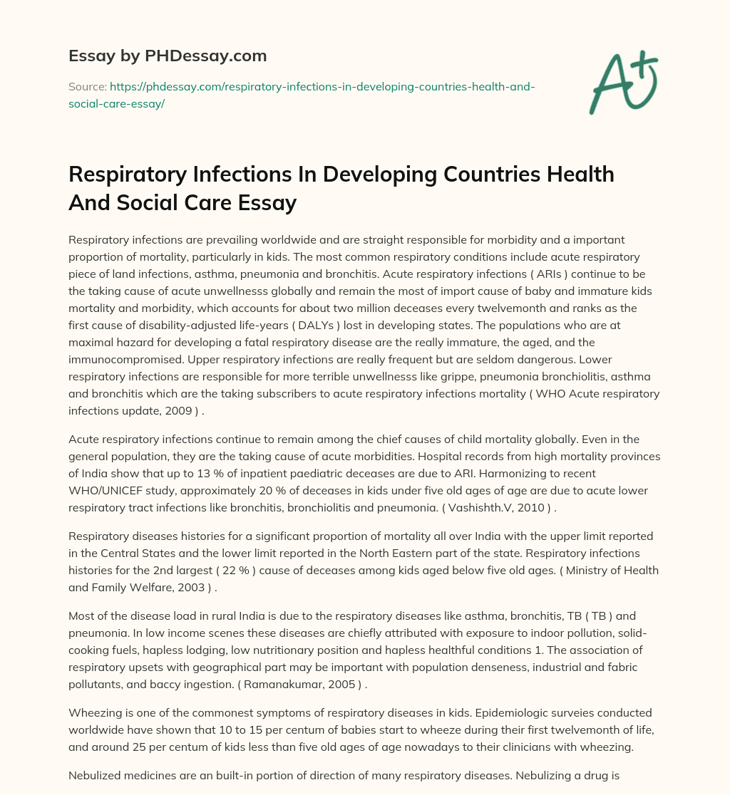 Respiratory Infections In Developing Countries Health And Social Care Essay essay