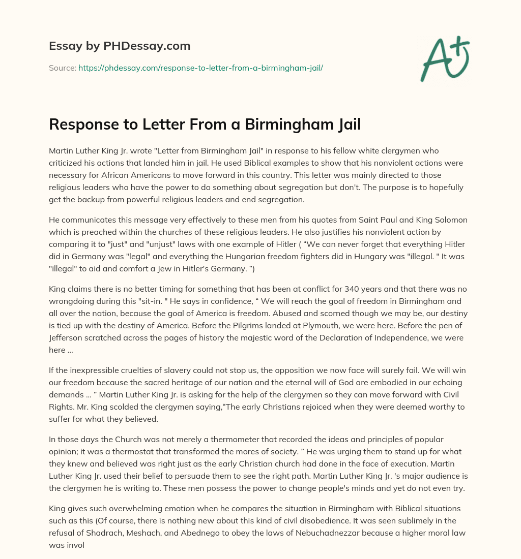 Response to Letter From a Birmingham Jail essay