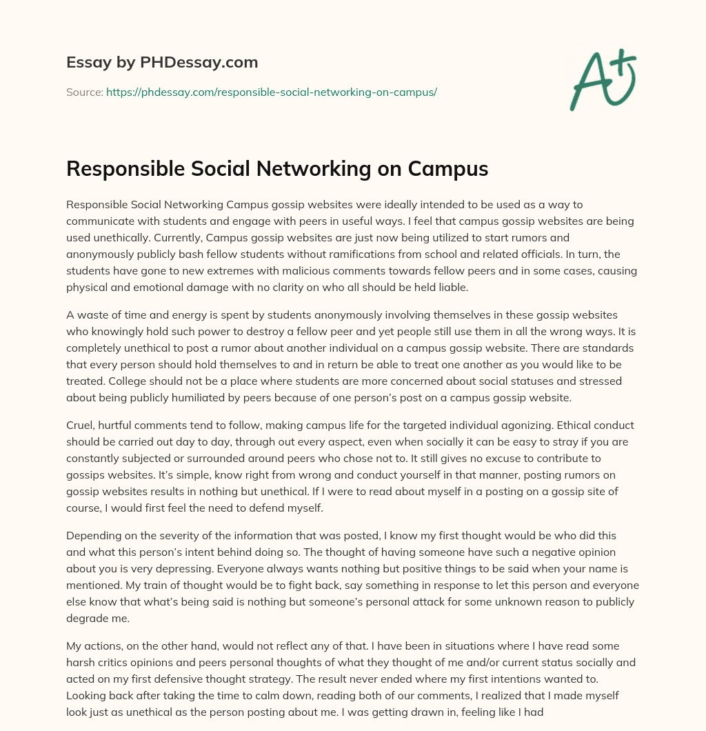 Responsible Social Networking on Campus essay