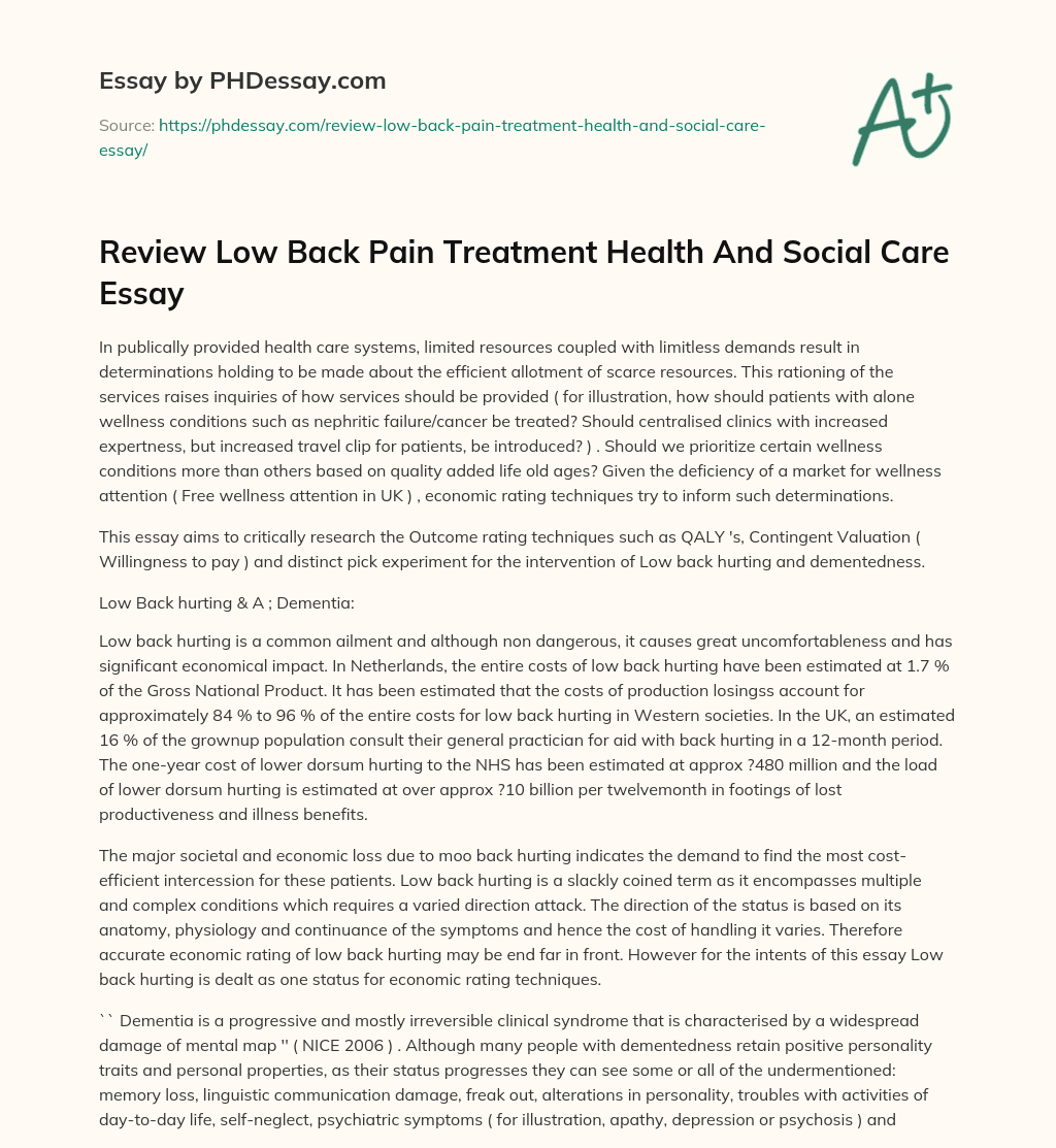 Review Low Back Pain Treatment Health And Social Care Essay essay