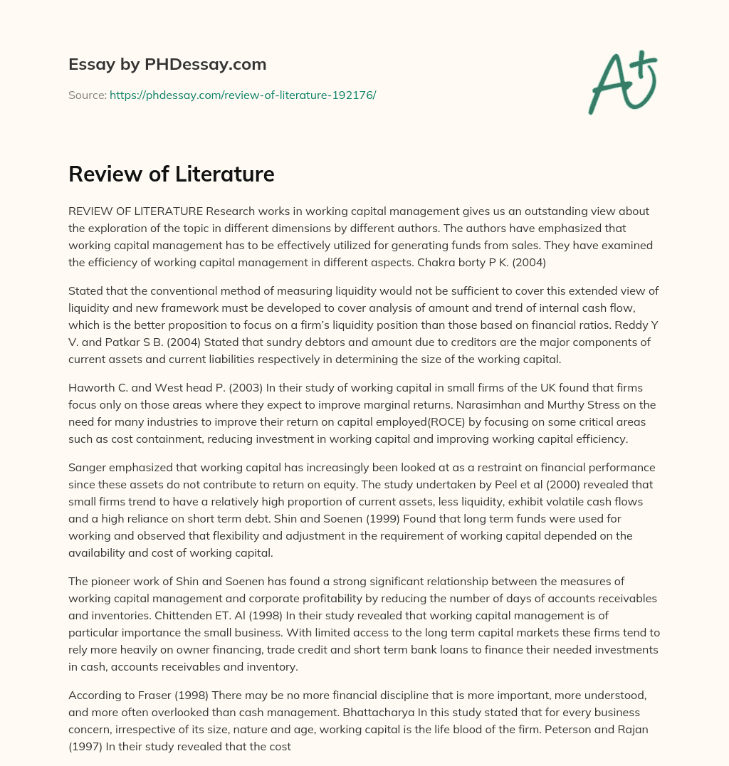 Review of Literature essay
