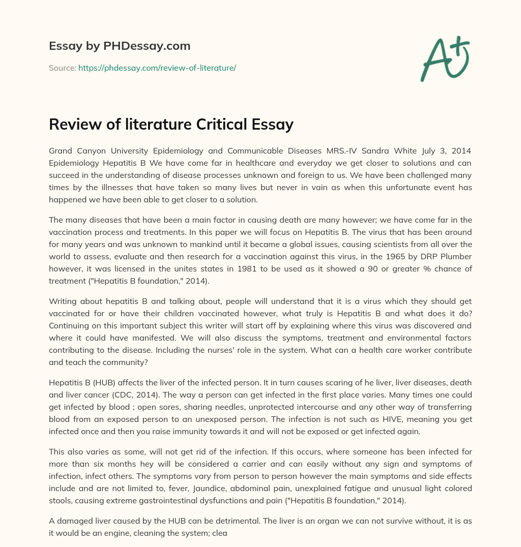 Review of literature Critical Essay essay