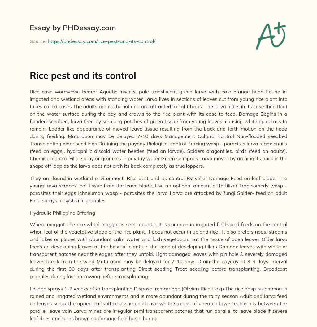 Rice pest and its control essay