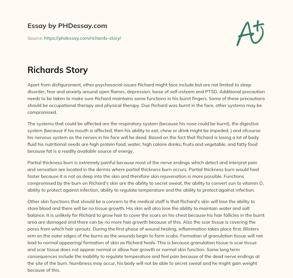 Richards Story essay