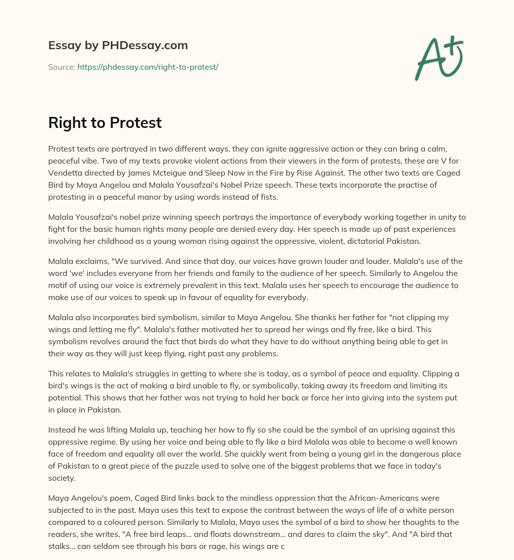 Right to Protest essay