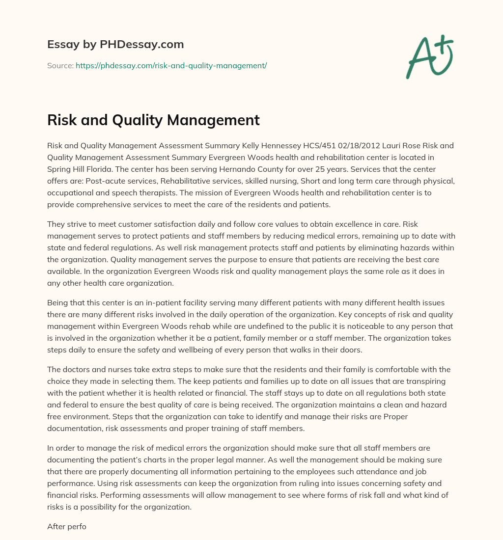 Risk and Quality Management essay