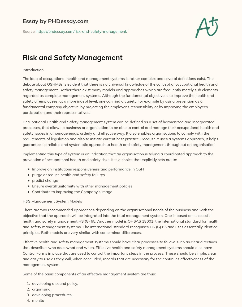 safety manager essay