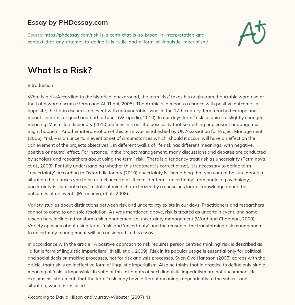 What Is a Risk? essay