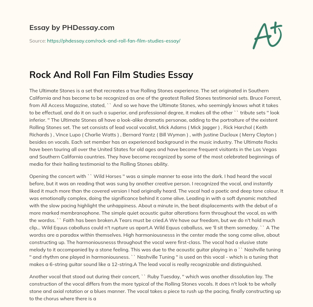 Rock And Roll Fan Film Studies Essay essay