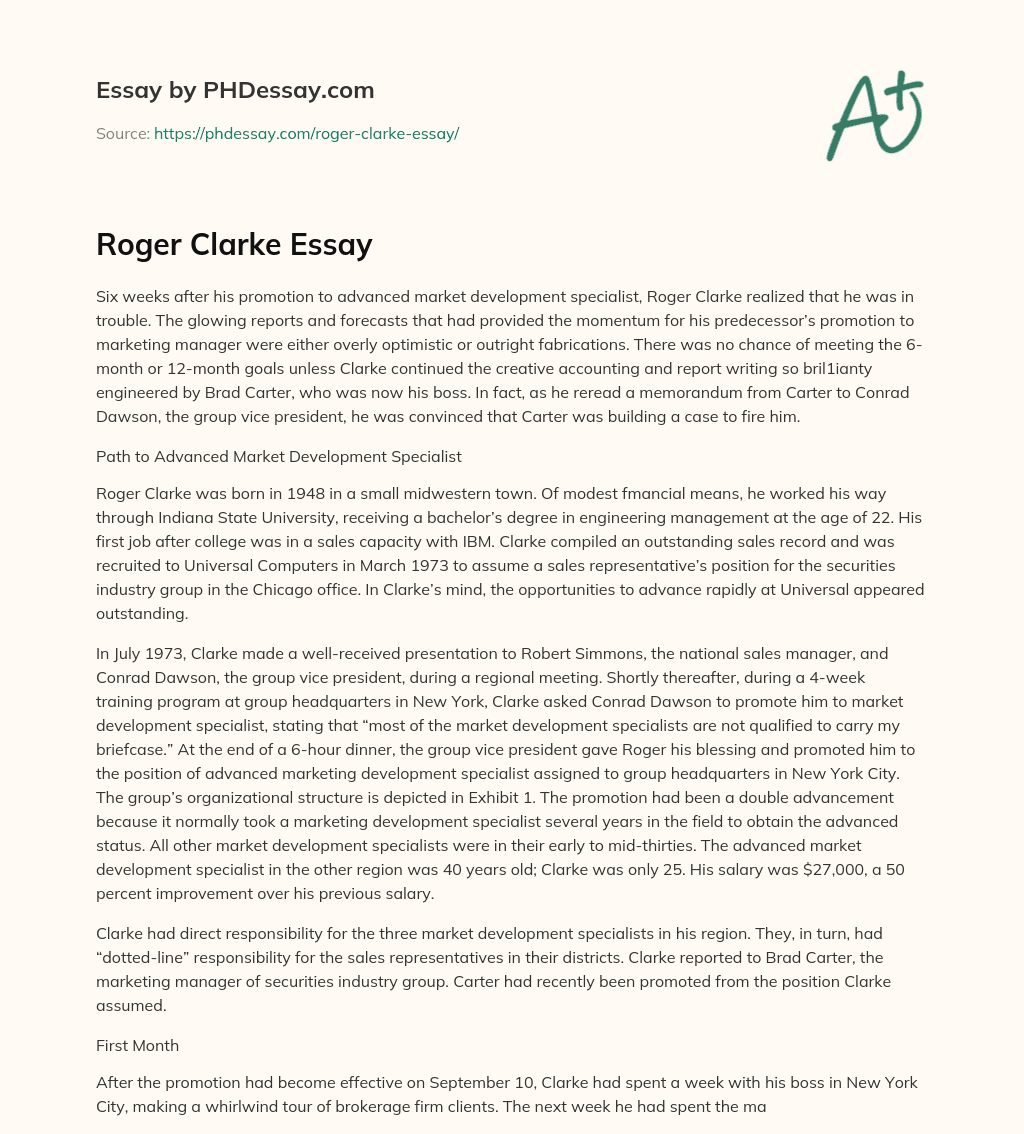 Roger Clarke Essay essay