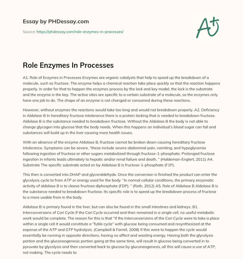 Role Enzymes In Processes essay