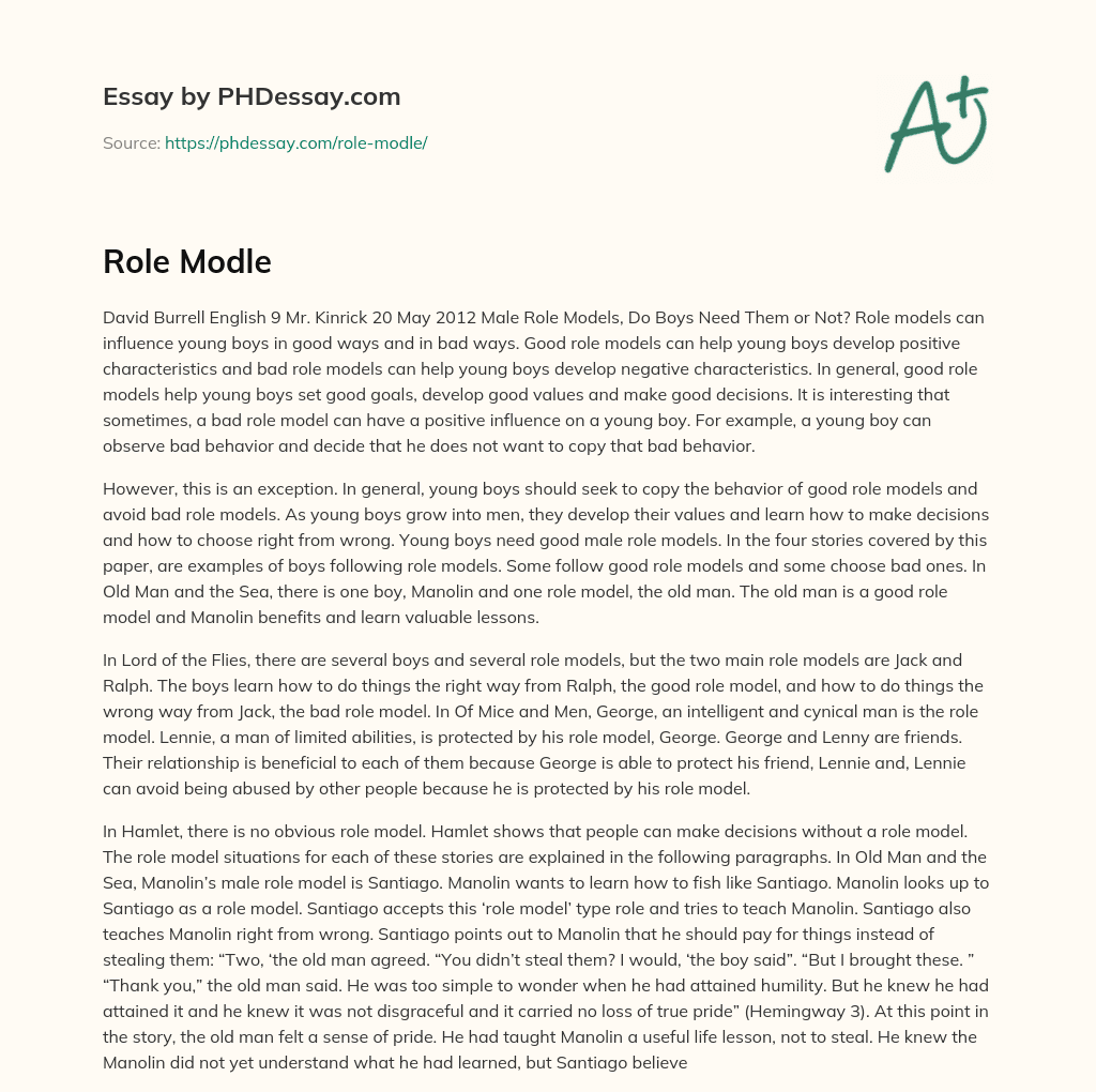 The Importance of Male Role Models for Young Boys essay