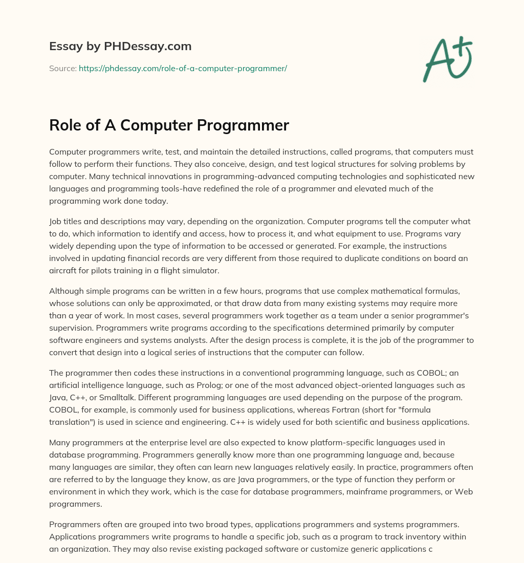 essay about computer programmer