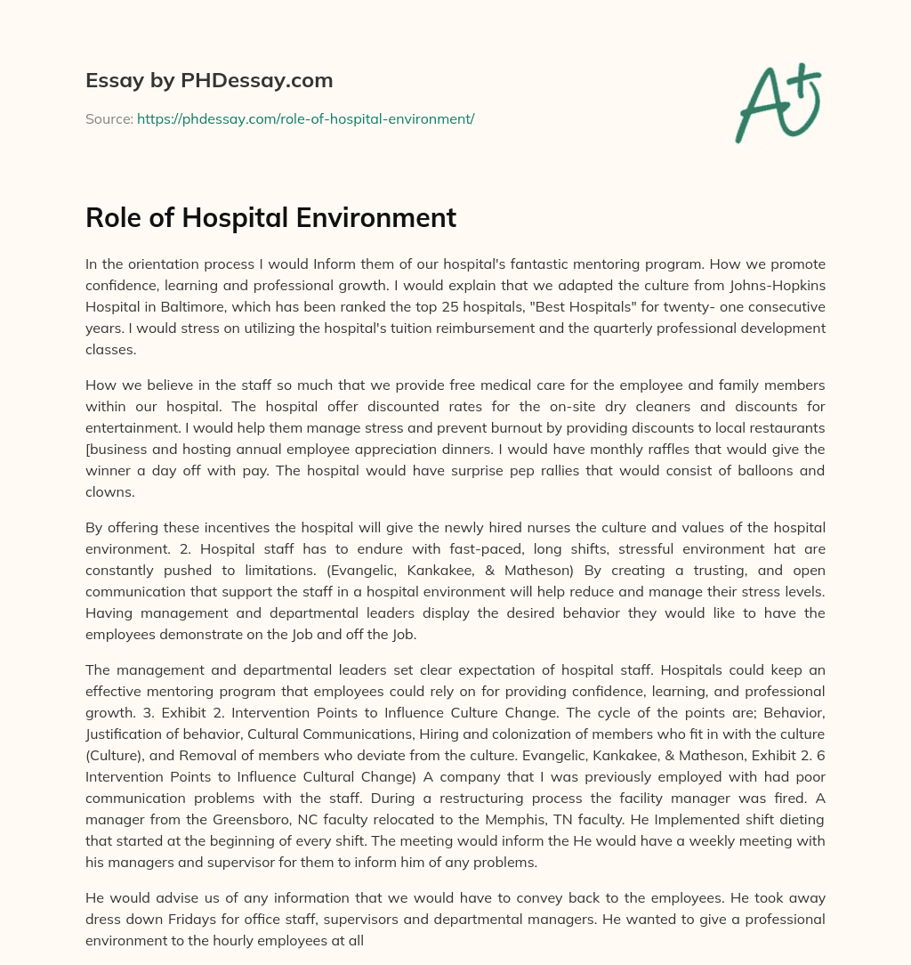 Role of Hospital Environment essay