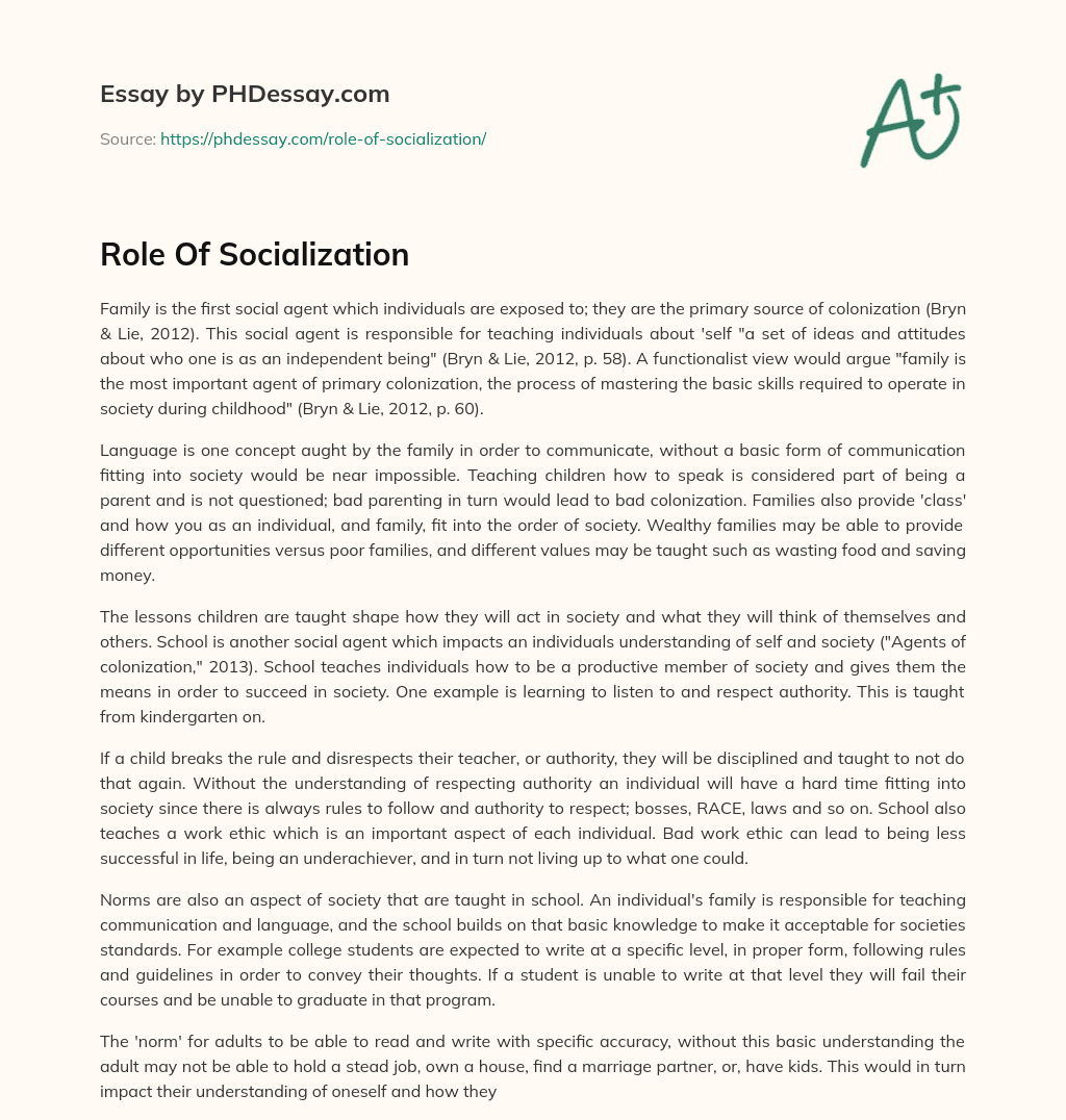 Role Of Socialization essay