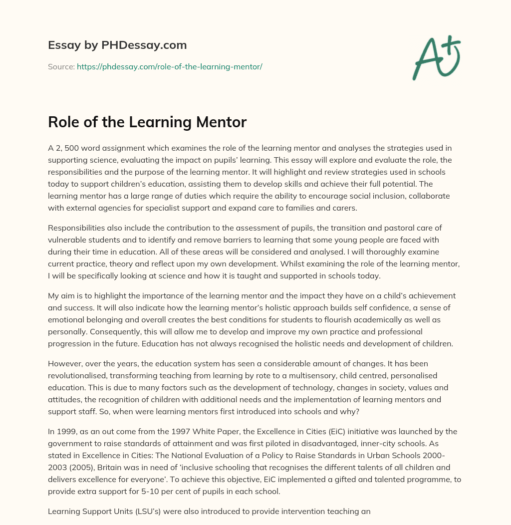 Role of the Learning Mentor essay