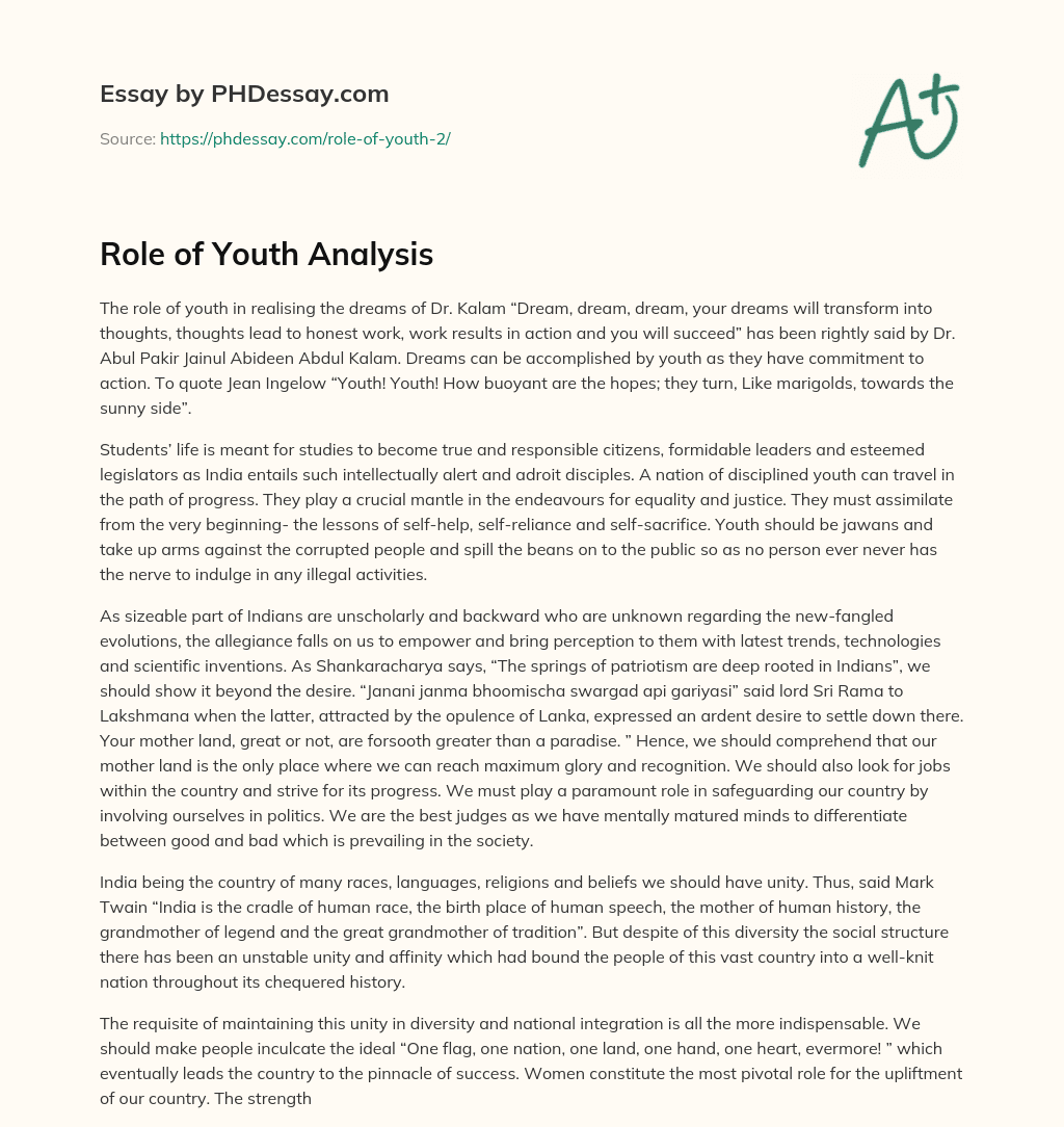 Role of Youth Analysis essay