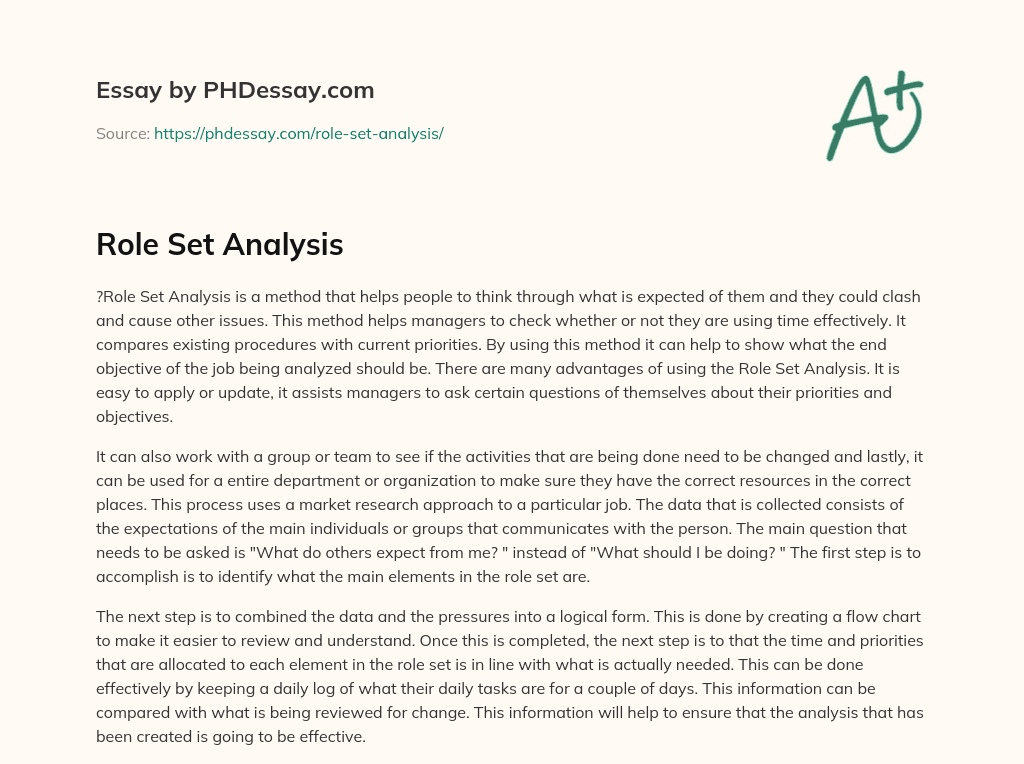 Role Set Analysis essay