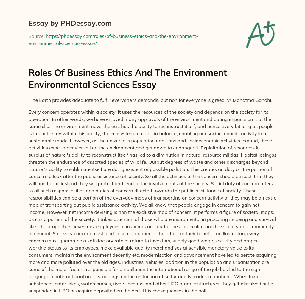 environmental ethics essay