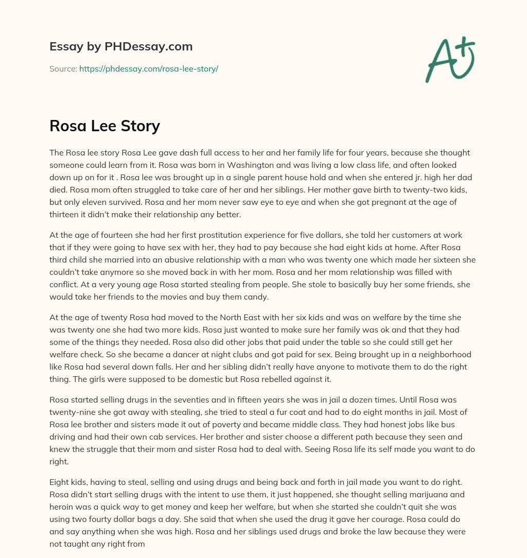Rosa Lee Story essay