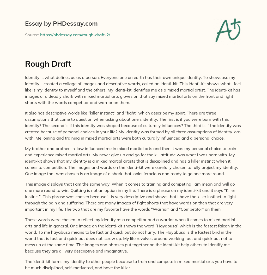 The Importance of Identity and Identifying Factors that Shape It essay