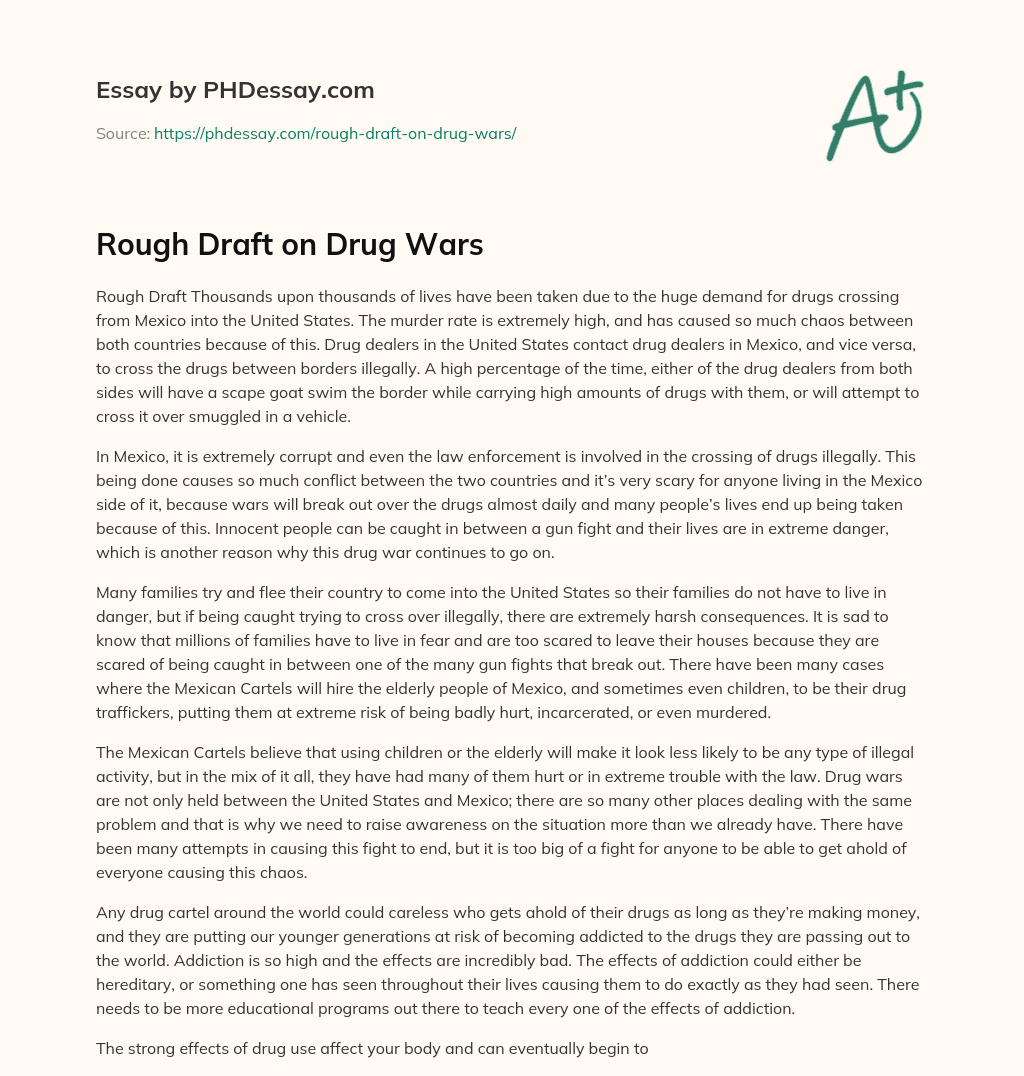 Rough Draft on Drug Wars essay