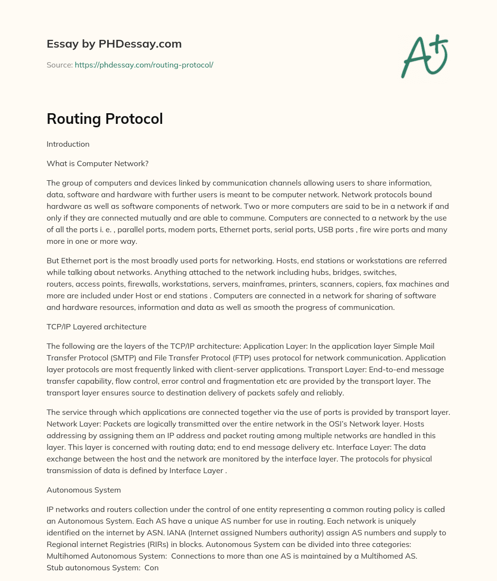 Routing Protocol essay