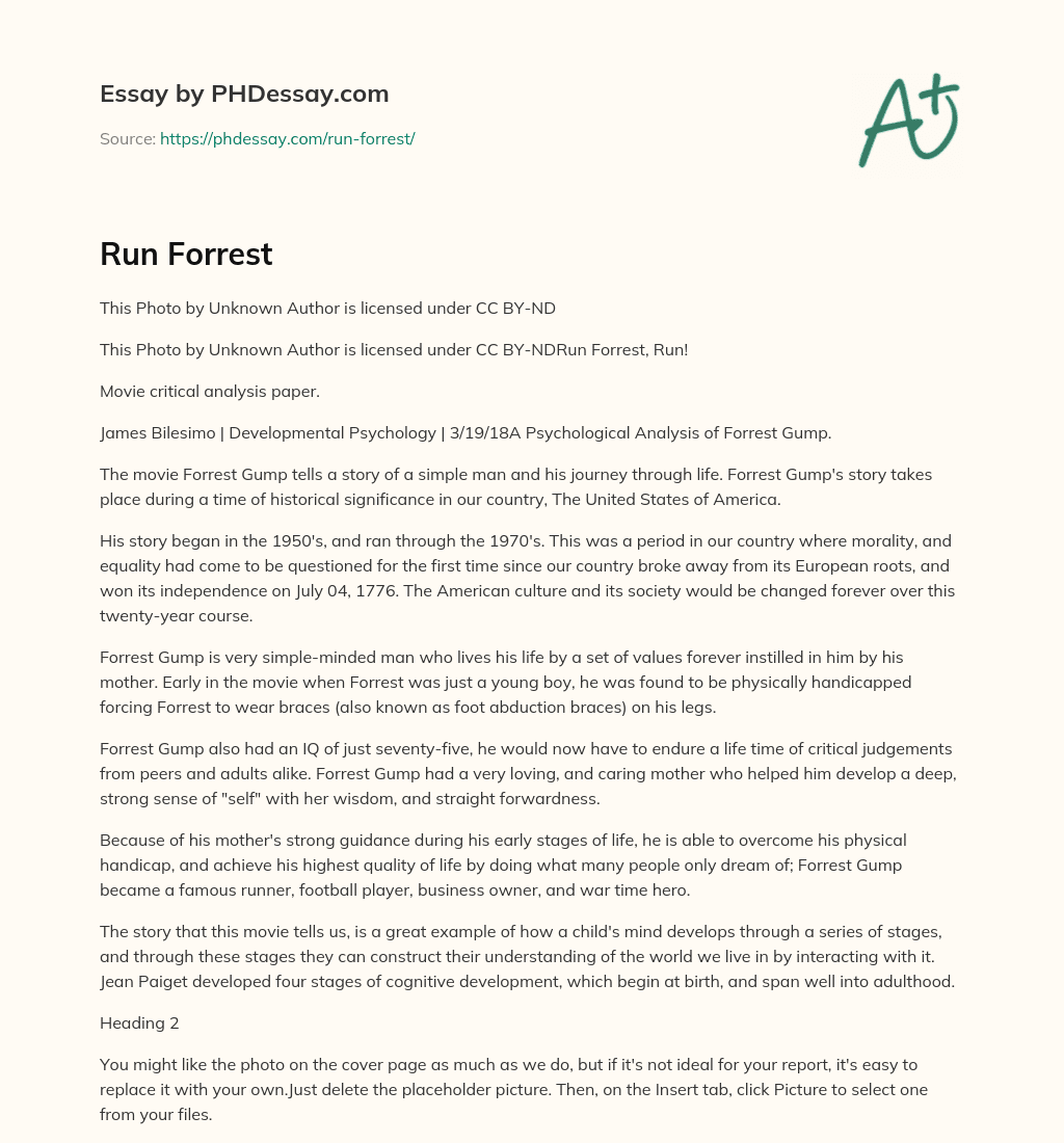Psychological Analysis of Forrest Gump: A Journey Through a Changing America essay
