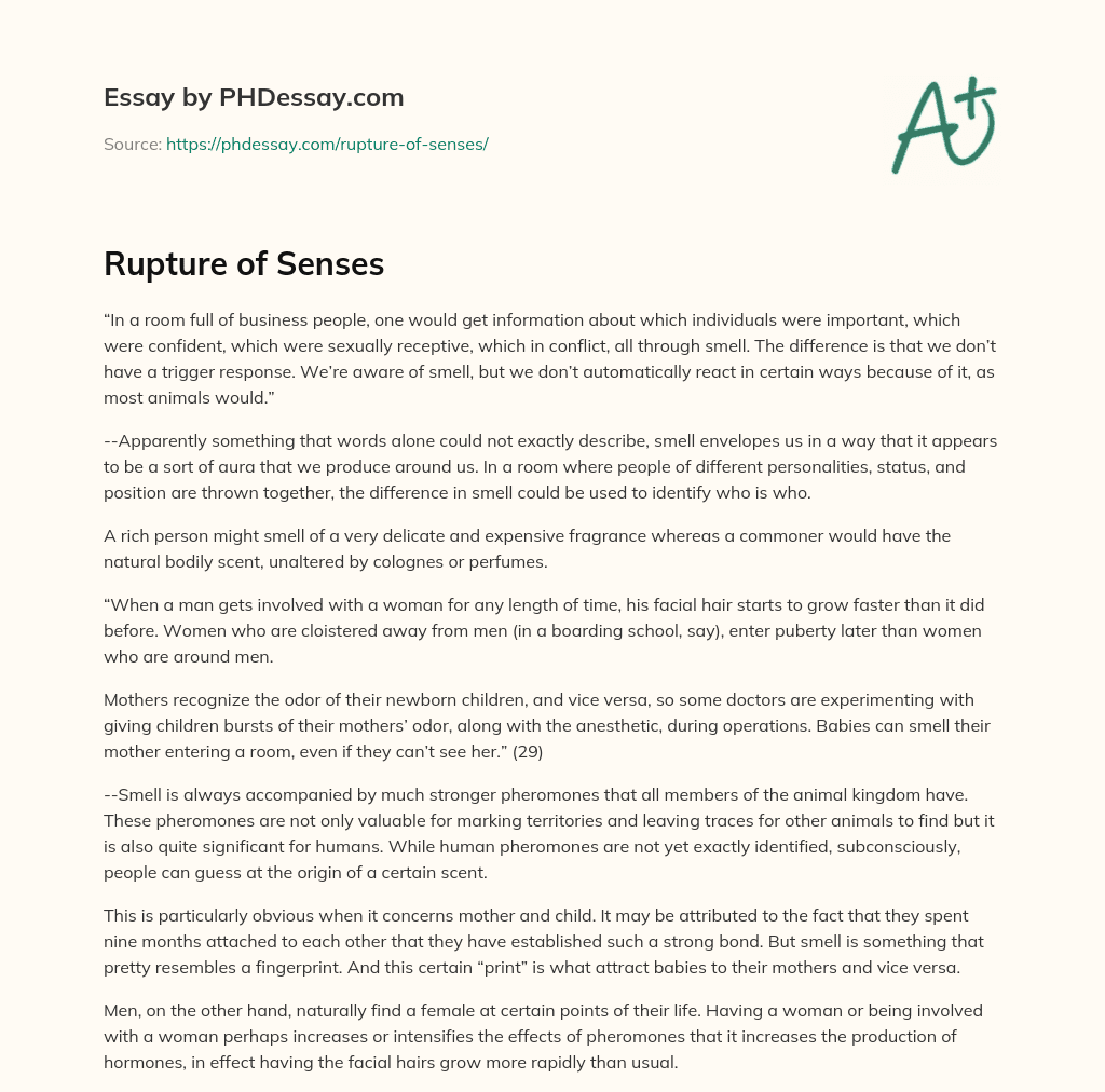 Rupture of Senses essay