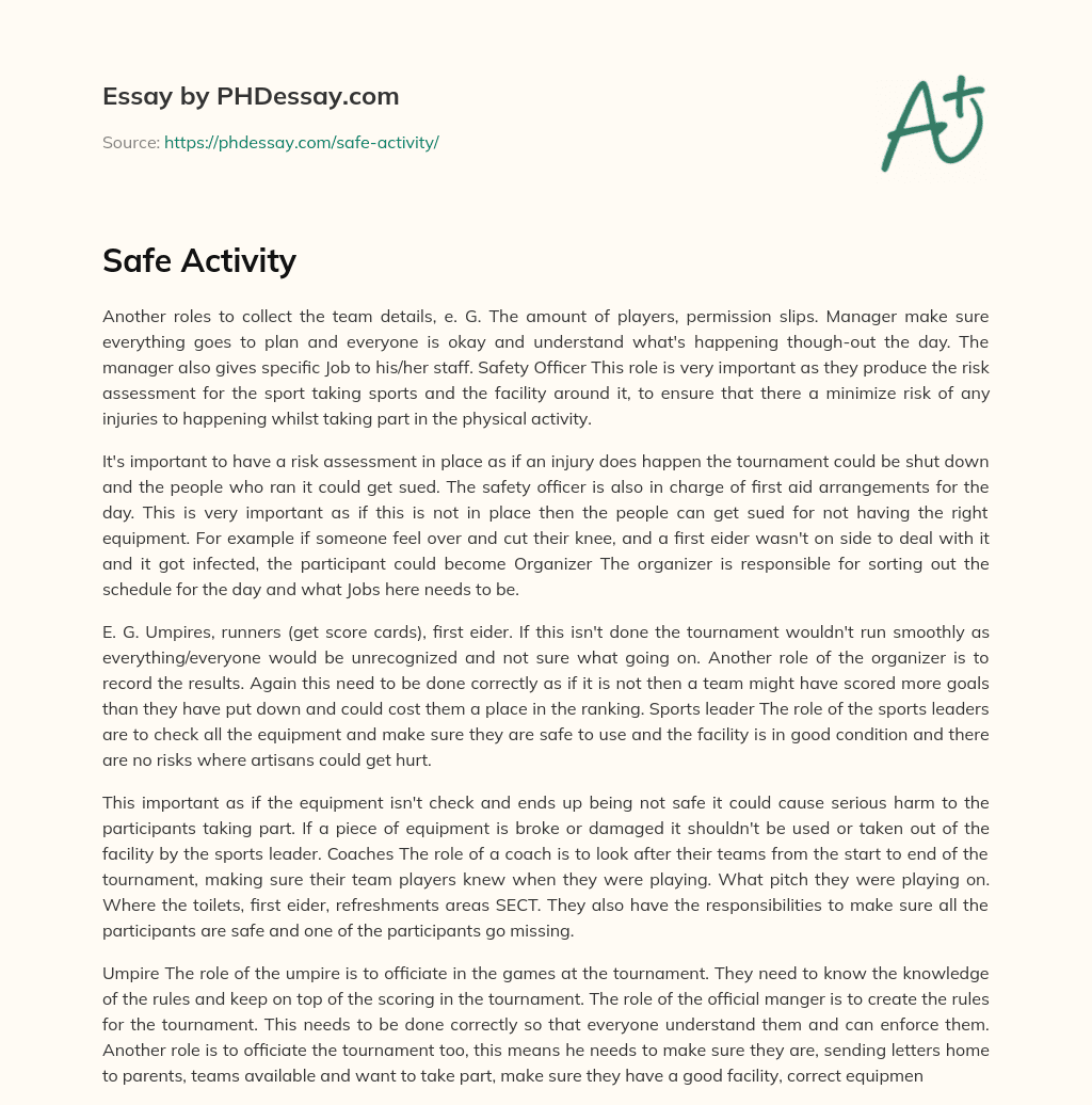 Safe Activity essay