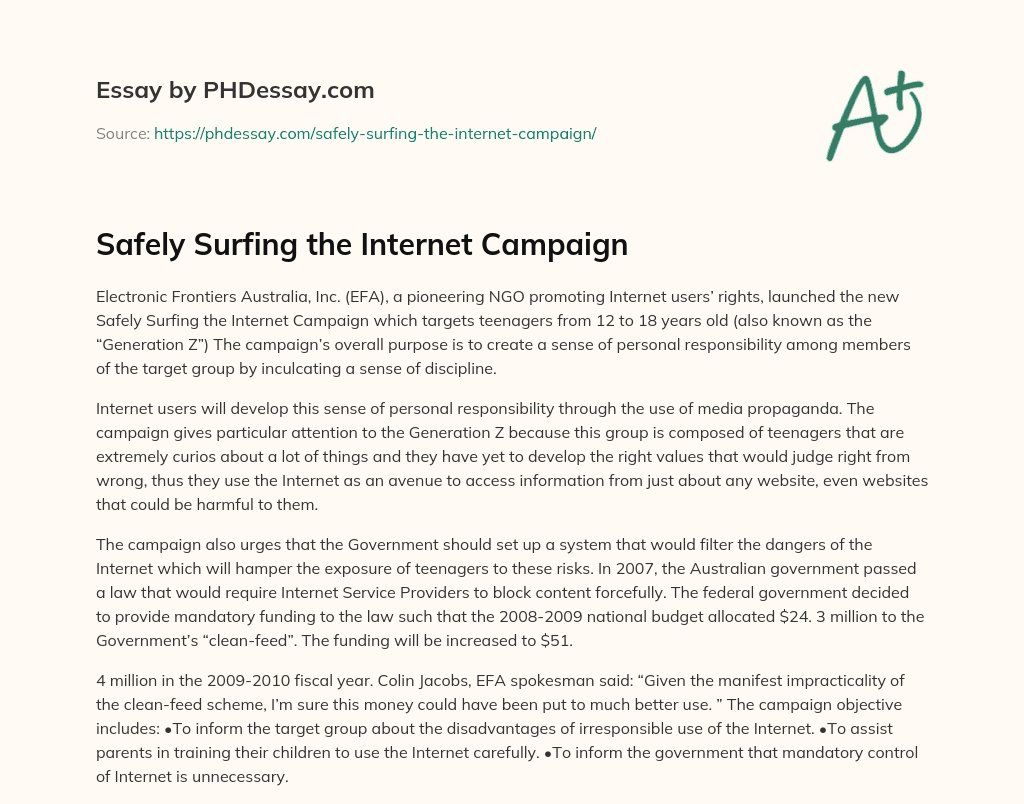 Safely Surfing the Internet Campaign essay