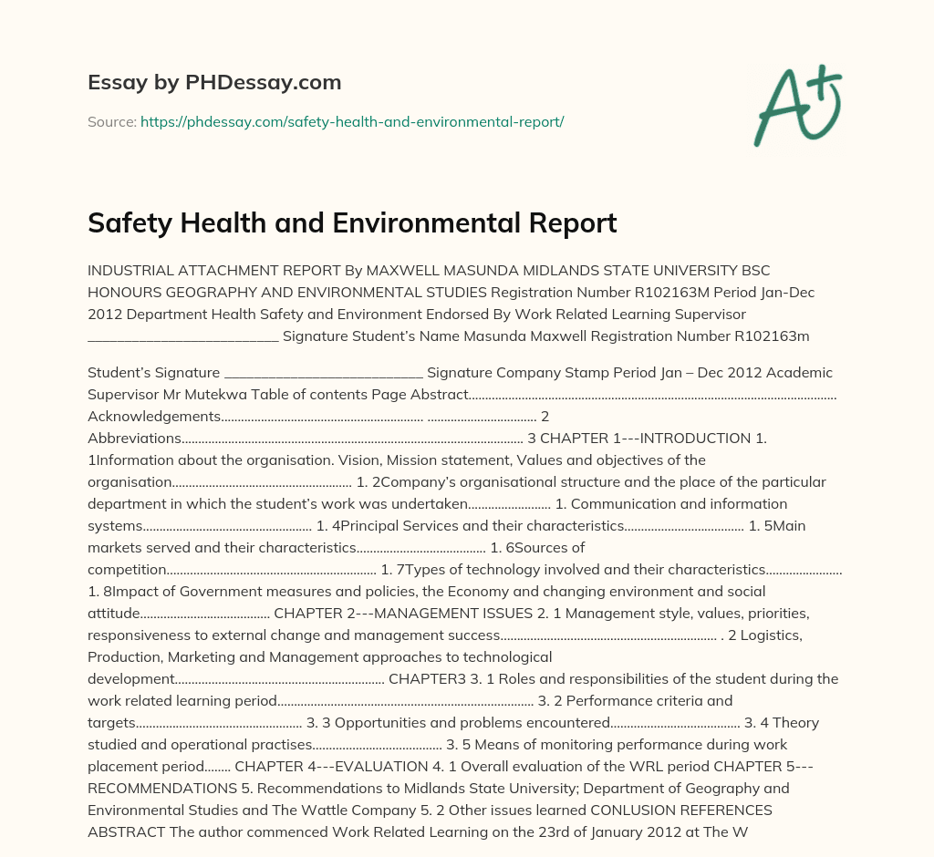 Safety Health and Environmental Report essay